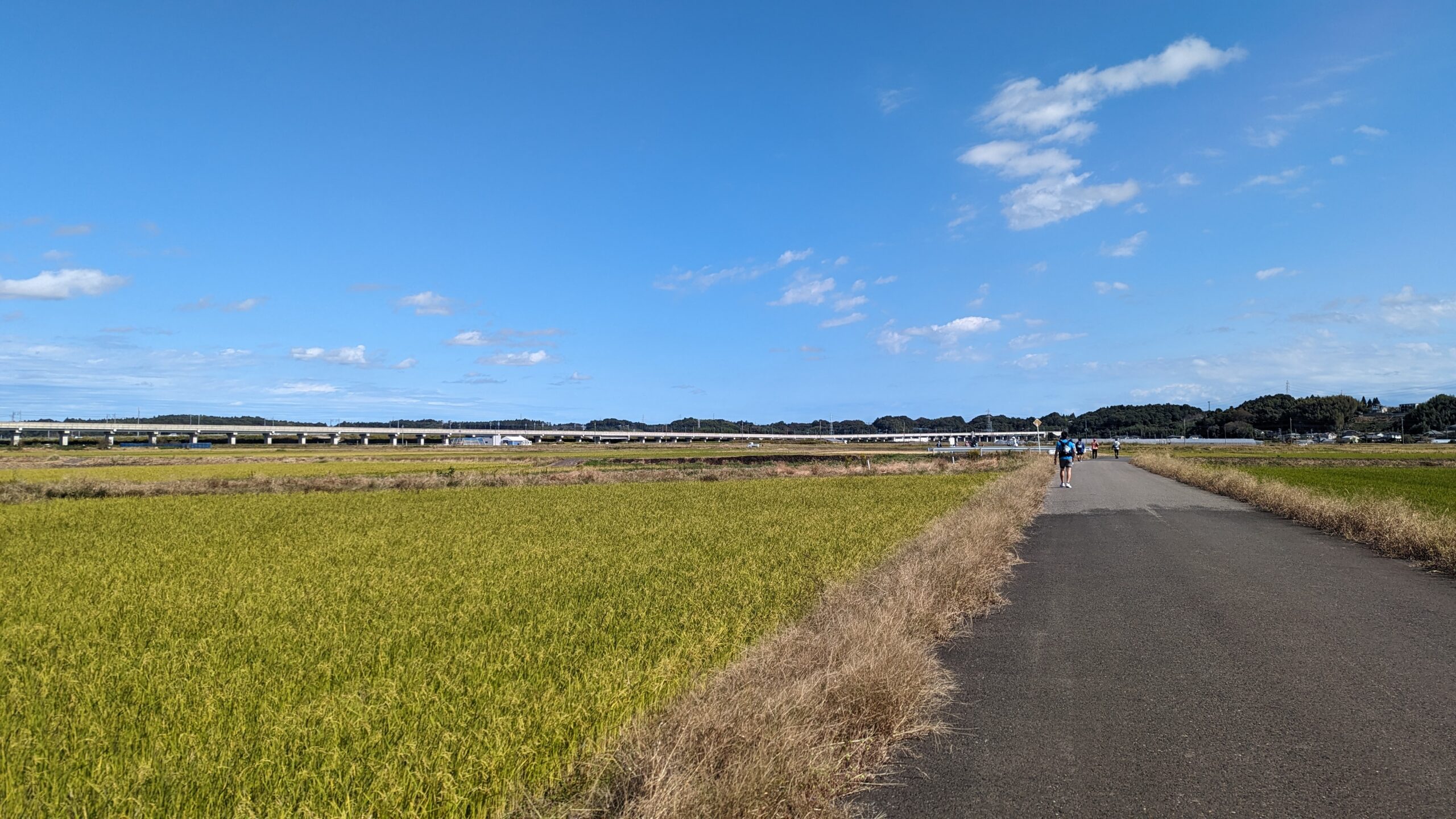 🚶‍♀秋の散歩を楽しみました🚶