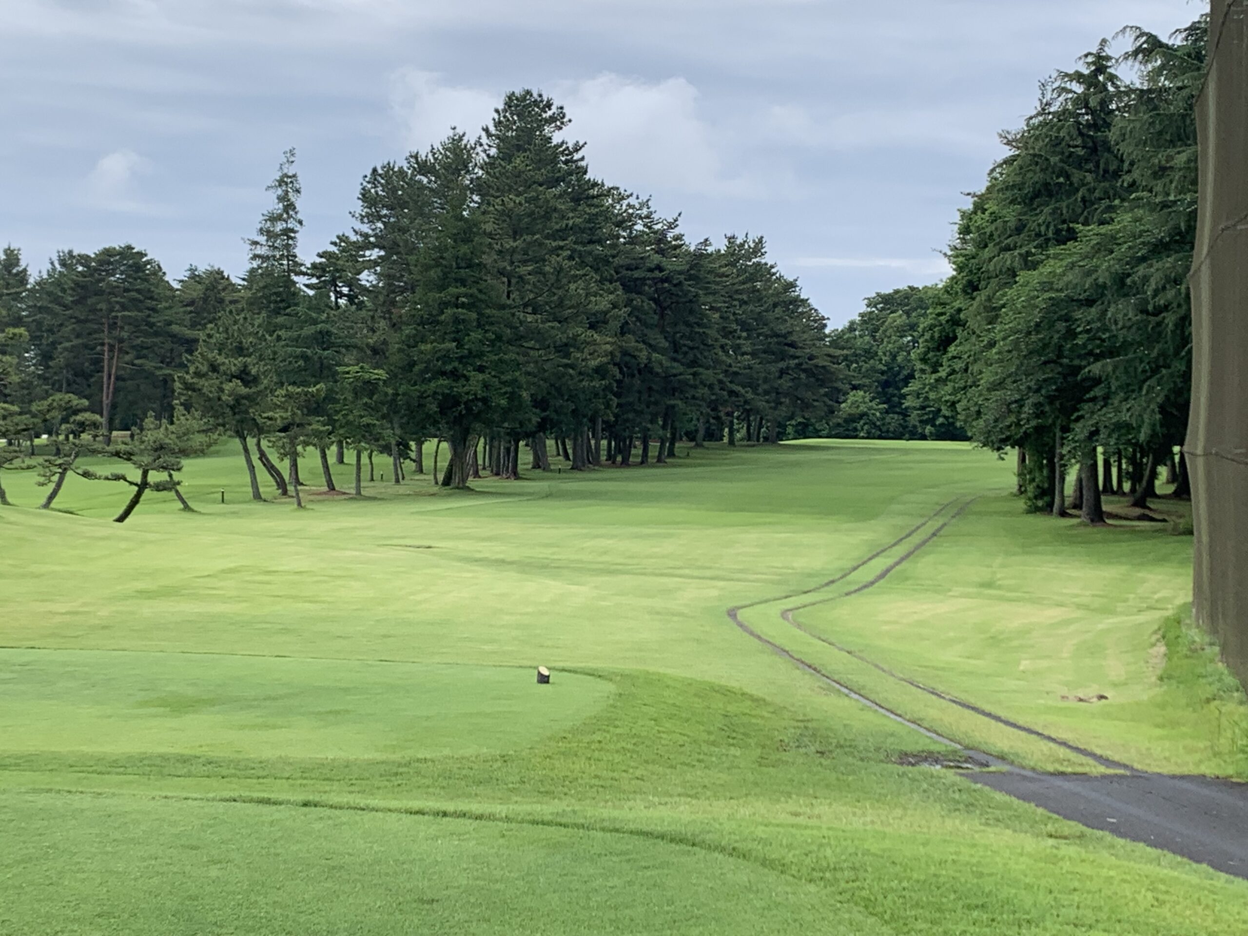 　　⛳⛳　気持ちのリフレッシュ　⛳⛳